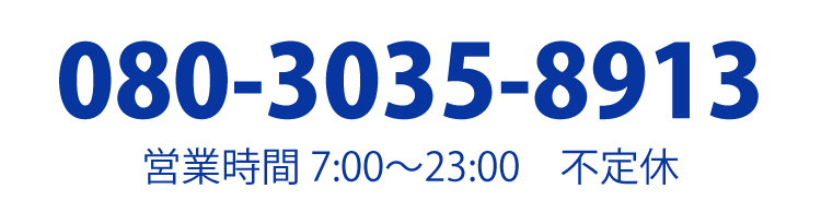 080-3035-8913